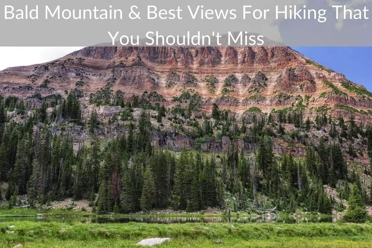 Bald Mountain & Best Views For Hiking That You Shouldn't Miss