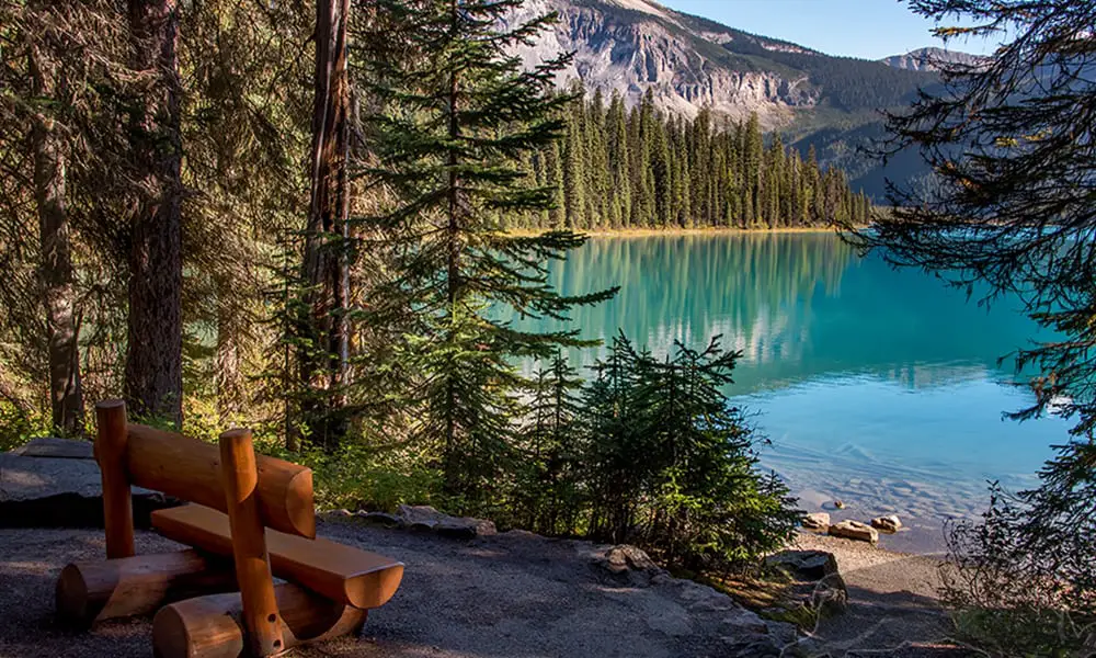 Emerald Lake Shore