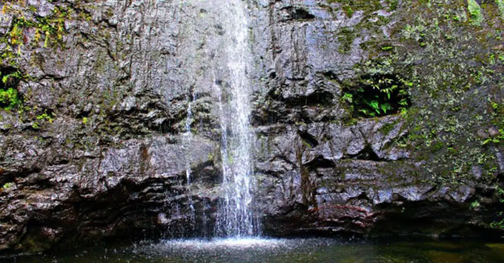 Manoa Falls 2