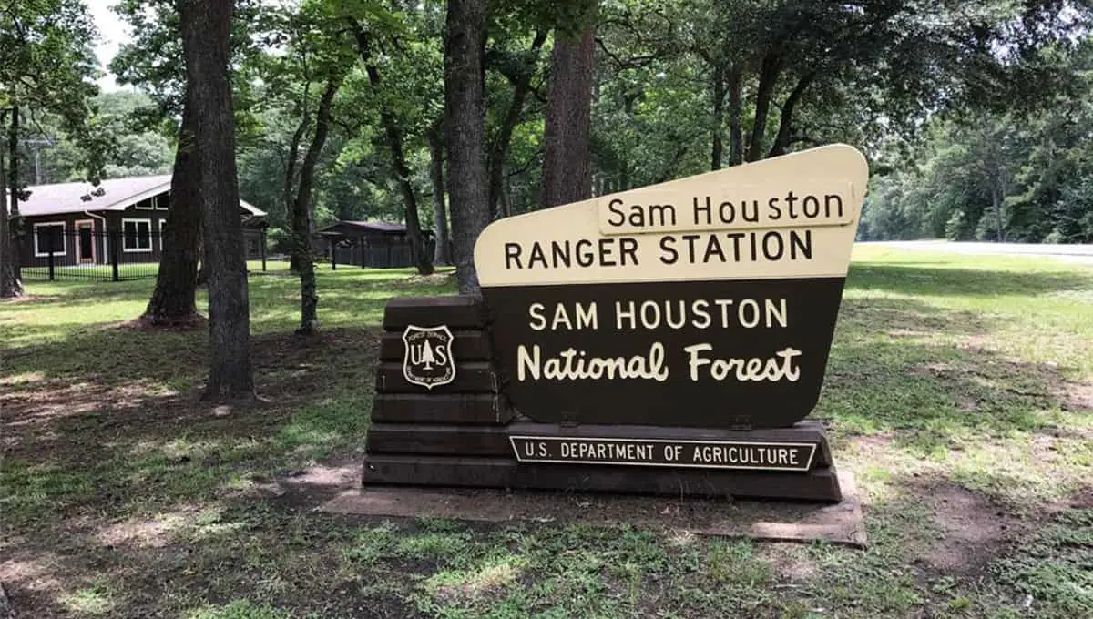 Sam Houston National Forest