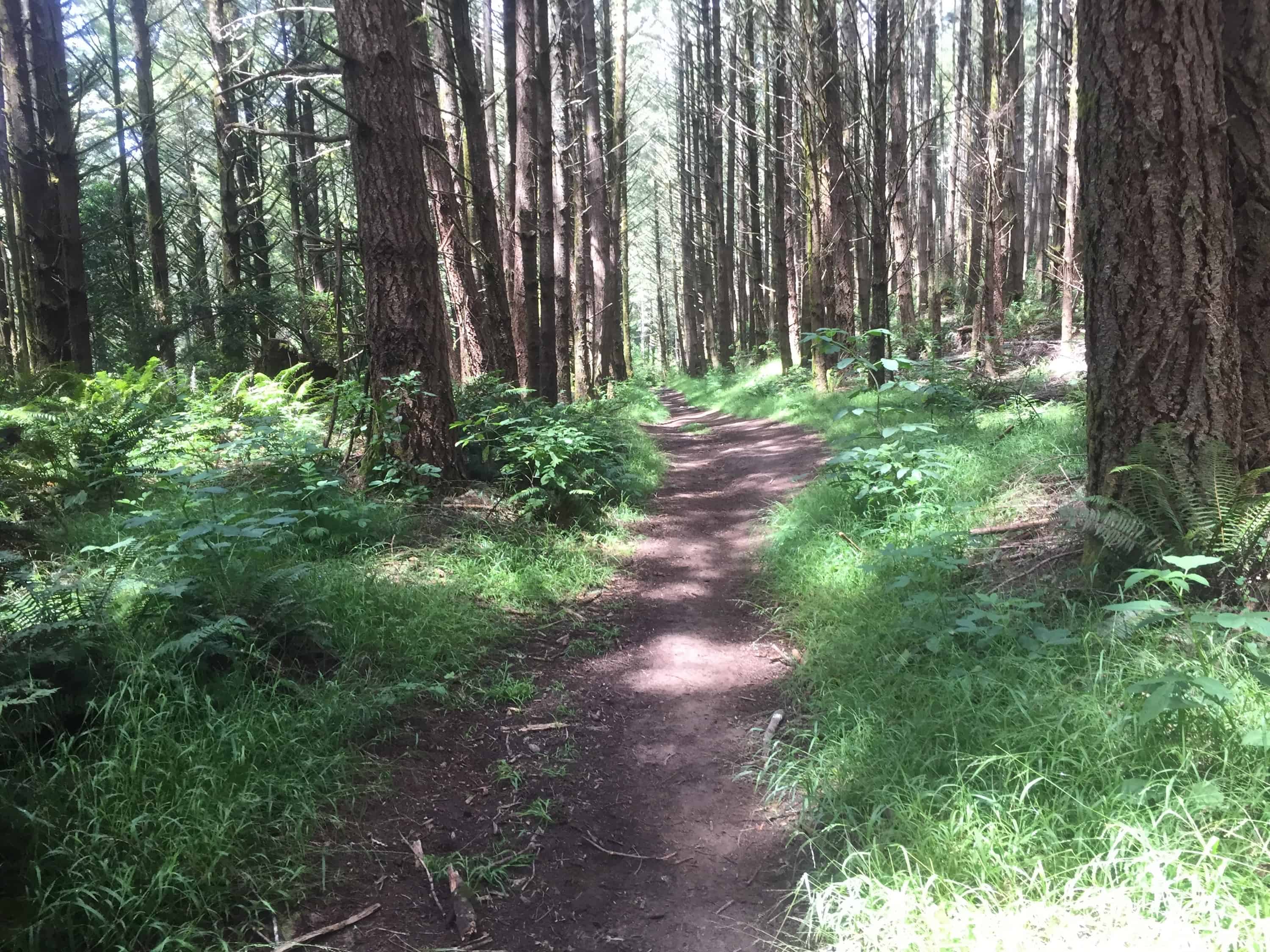 FIVE BROOKS TRAILHEAD