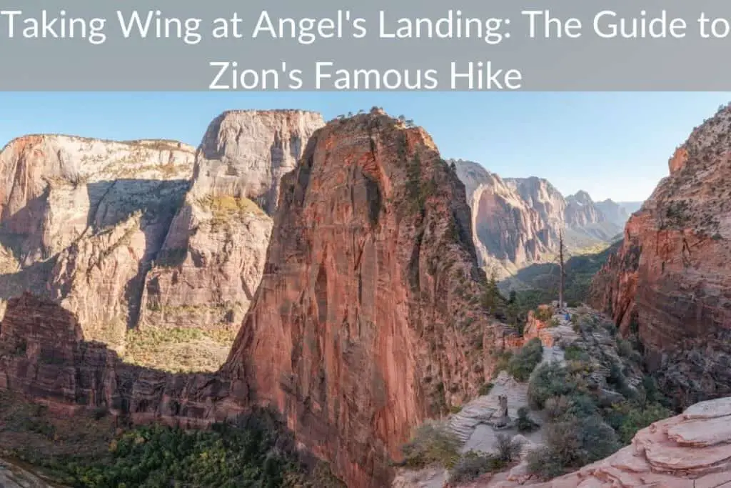 Taking Wing At Angel’s Landing: The Guide To Zion’s Famous Hike – Take ...