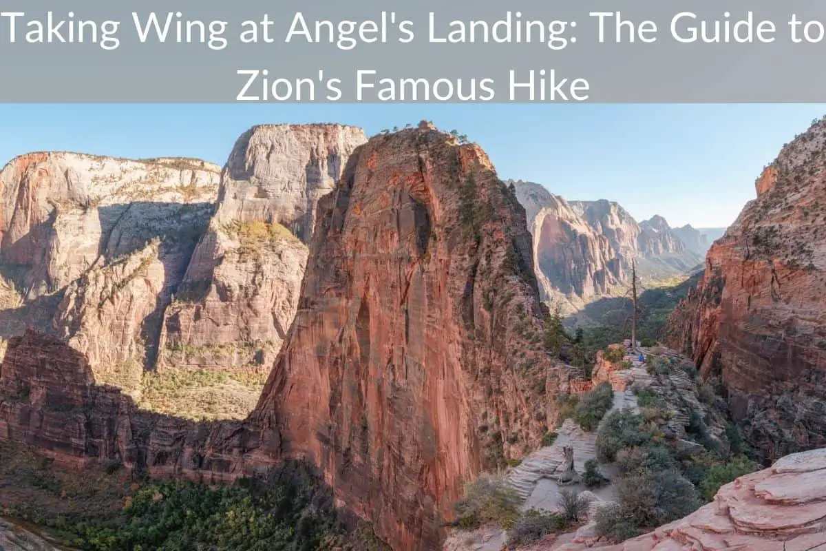 Taking Wing at Angel's Landing: The Guide to Zion's Famous Hike