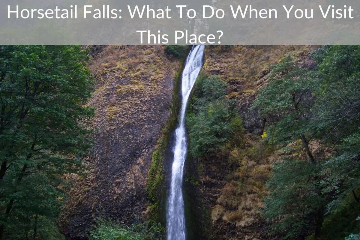 Horsetail Falls: What To Do When You Visit This Place?