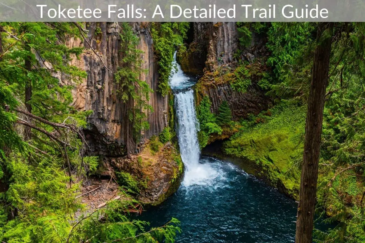 Toketee Falls: A Detailed Trail Guide