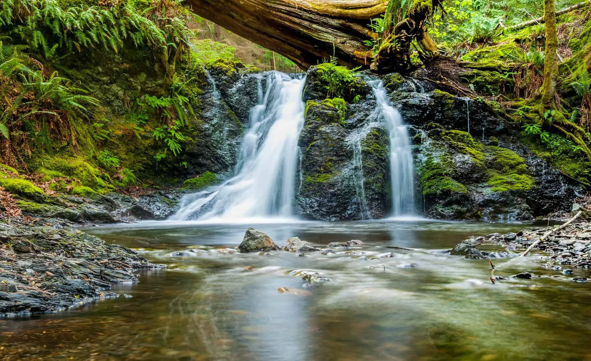 Sturtevant Falls: A Quick Guide for Hikers and Visitors