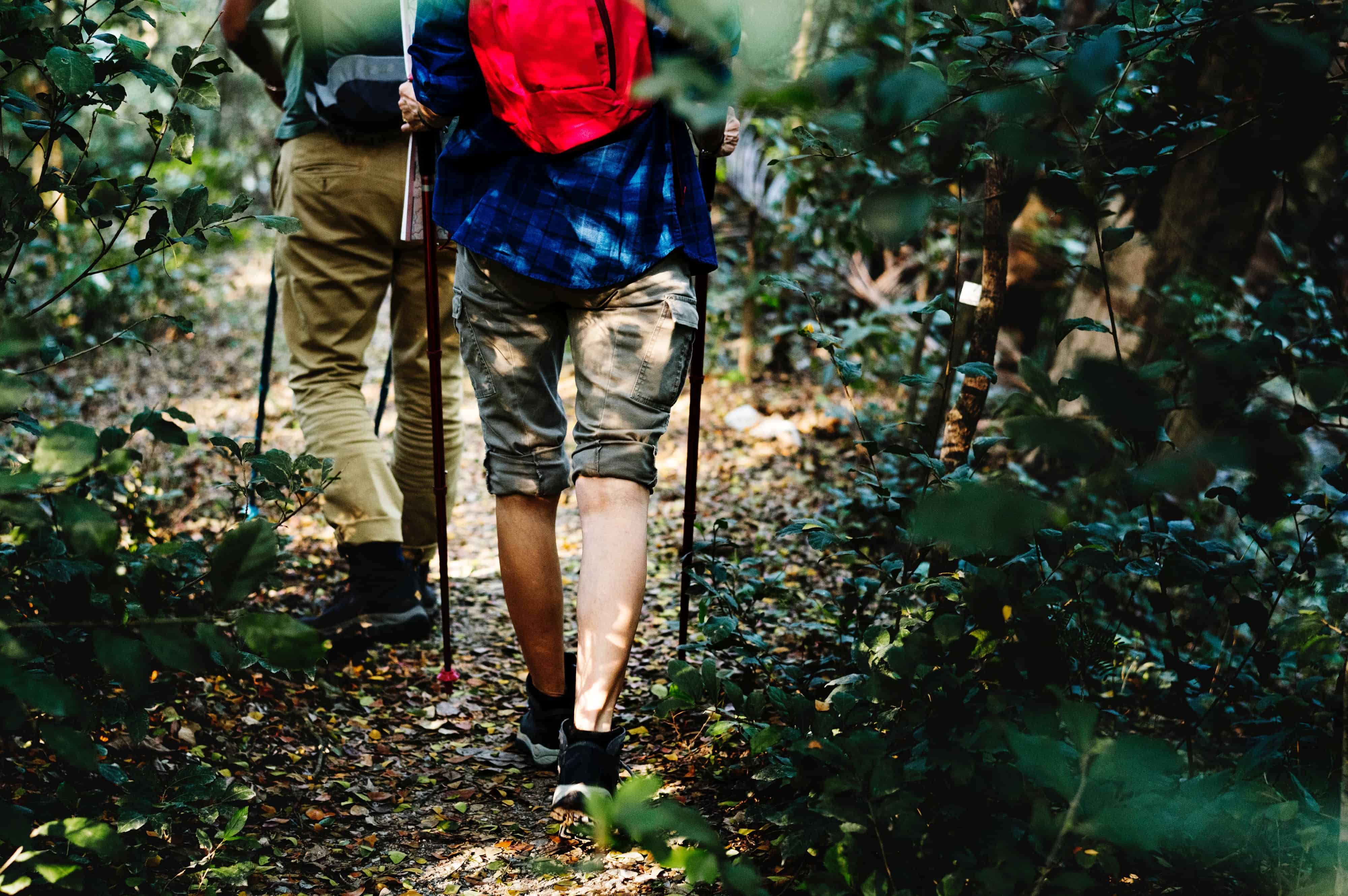 men holding the best hiking poles while walking on the trail head