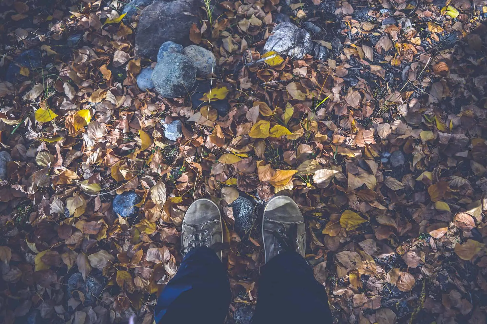 A person's feet wearing a boots and touching the dry leaves while standing in the forest