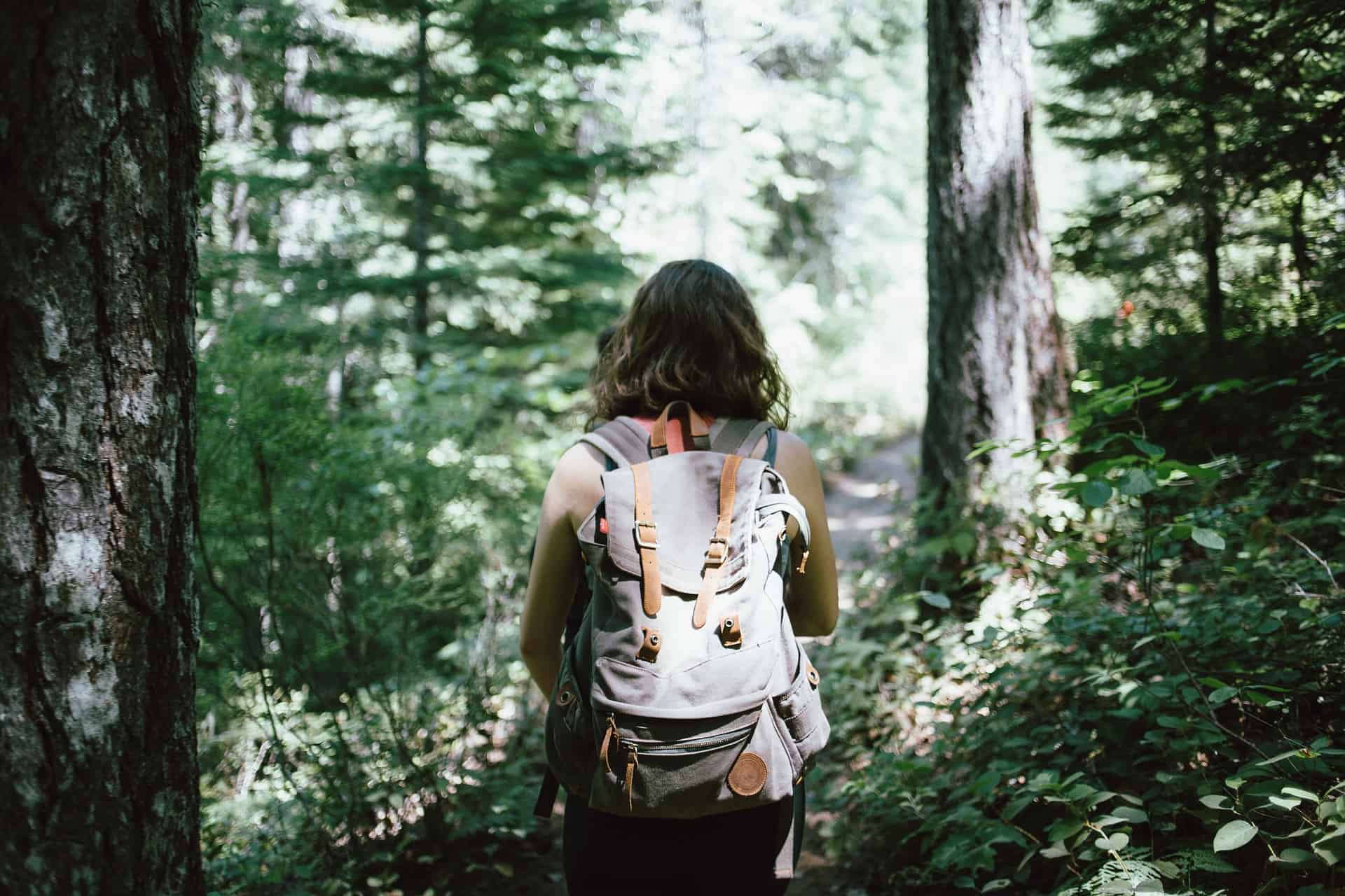 Hiker carrying a backpack is walking through the trailhead